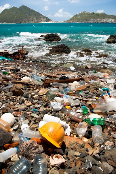 Plastic Pollution and Health: The Harmful Effects of Microplastics